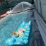 Obloukové zastřešení bazénu PRAKTIK - psí život